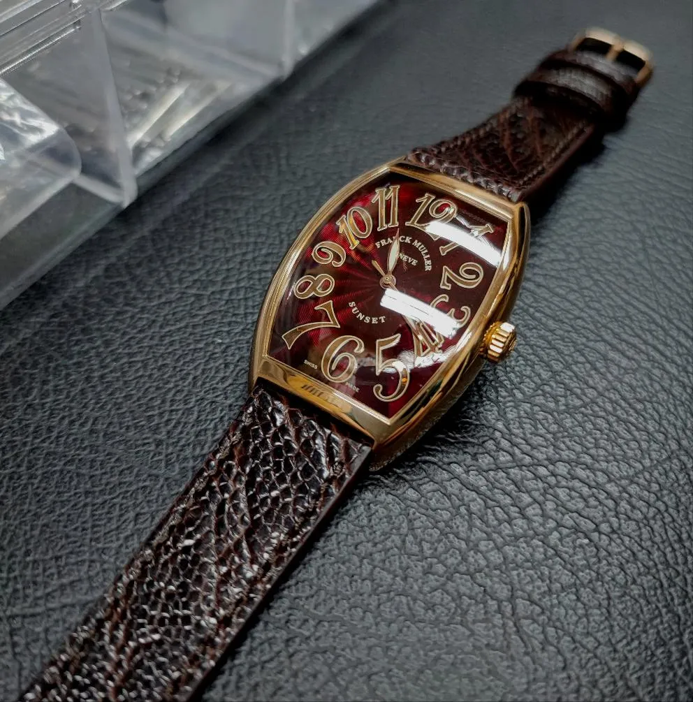 19mm Dark Brown Ostrich Leg Leather Watch Strap