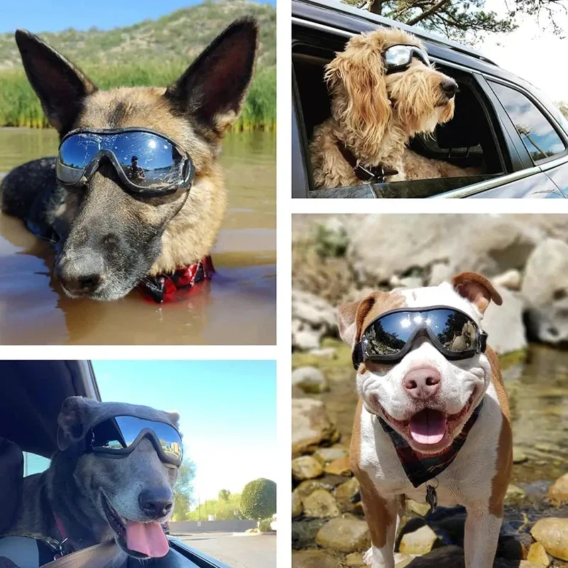 Adjustable Dog Goggles for Travel & Snow Protection