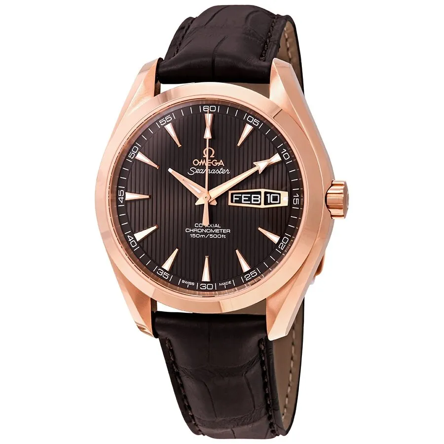 Omega Seamaster Aqua Terra Automatic Men's Leather Watch 231.53.43.22.06.001