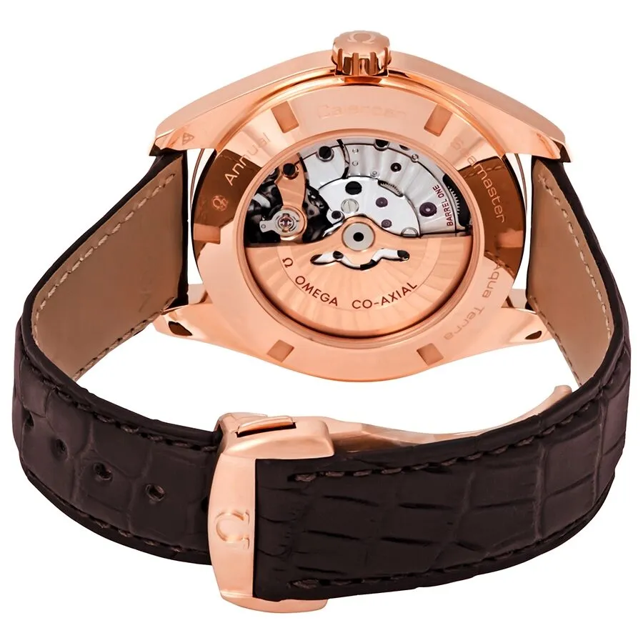 Omega Seamaster Aqua Terra Automatic Men's Leather Watch 231.53.43.22.06.001